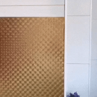 Encabezado