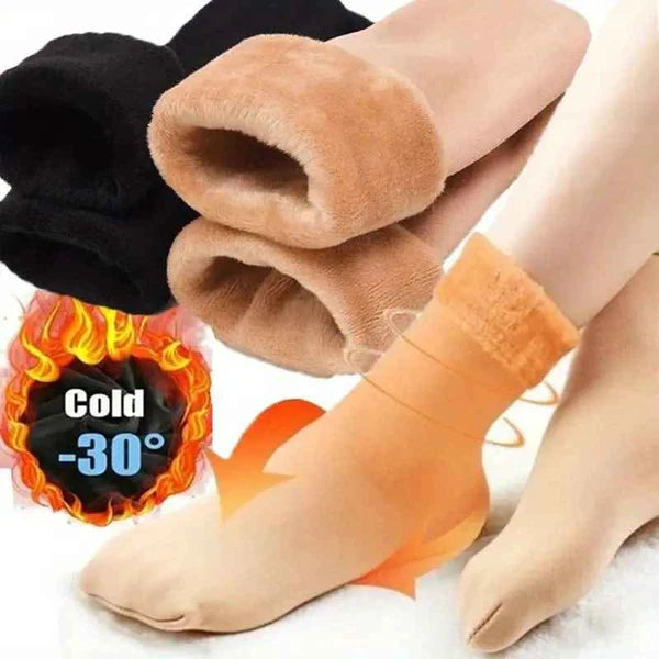 Calcetines Térmicos Premium - Polar 1 pack (12 unidades), colores variados