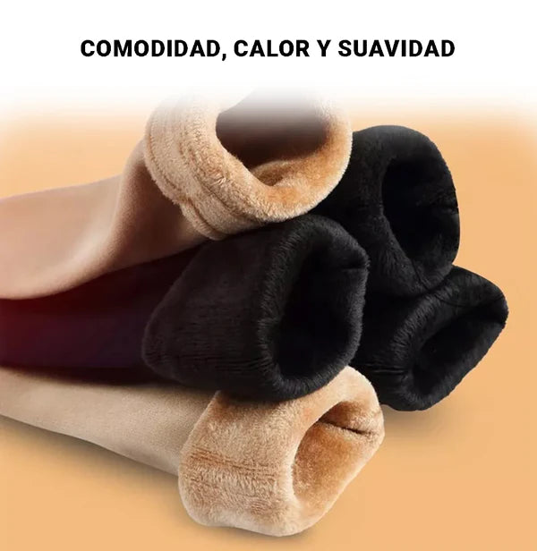Calcetines Térmicos Premium - Polar 1 pack (12 unidades), colores variados