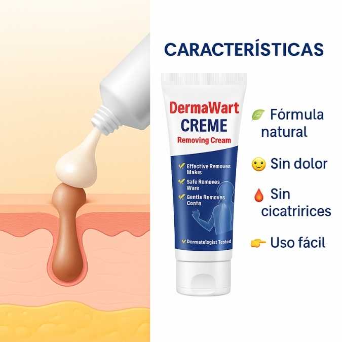 Encabezado