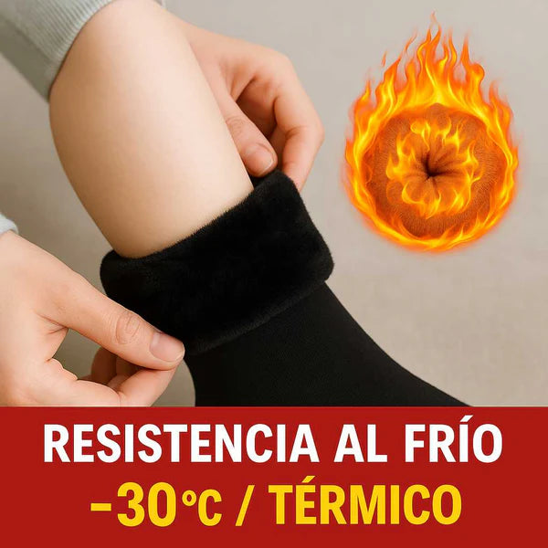 Calcetines Térmicos Premium - Polar 1 pack (12 unidades), colores variados