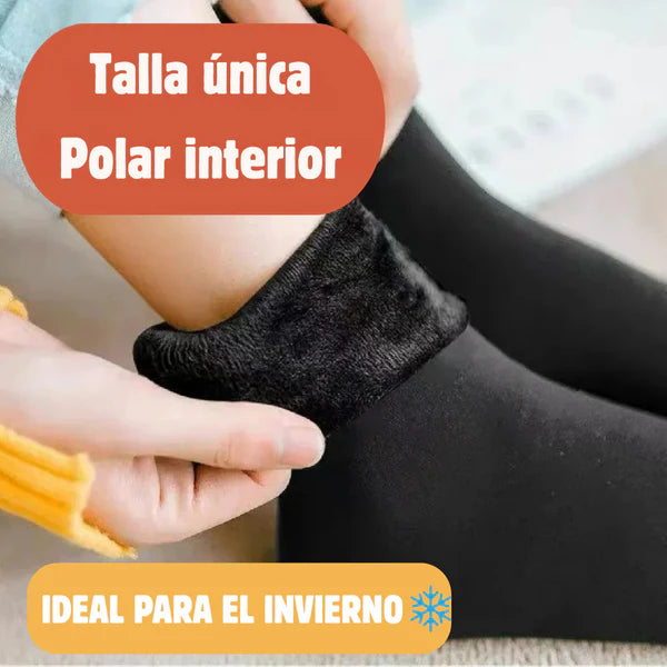 Calcetines Térmicos Premium - Polar 1 pack (12 unidades), colores variados